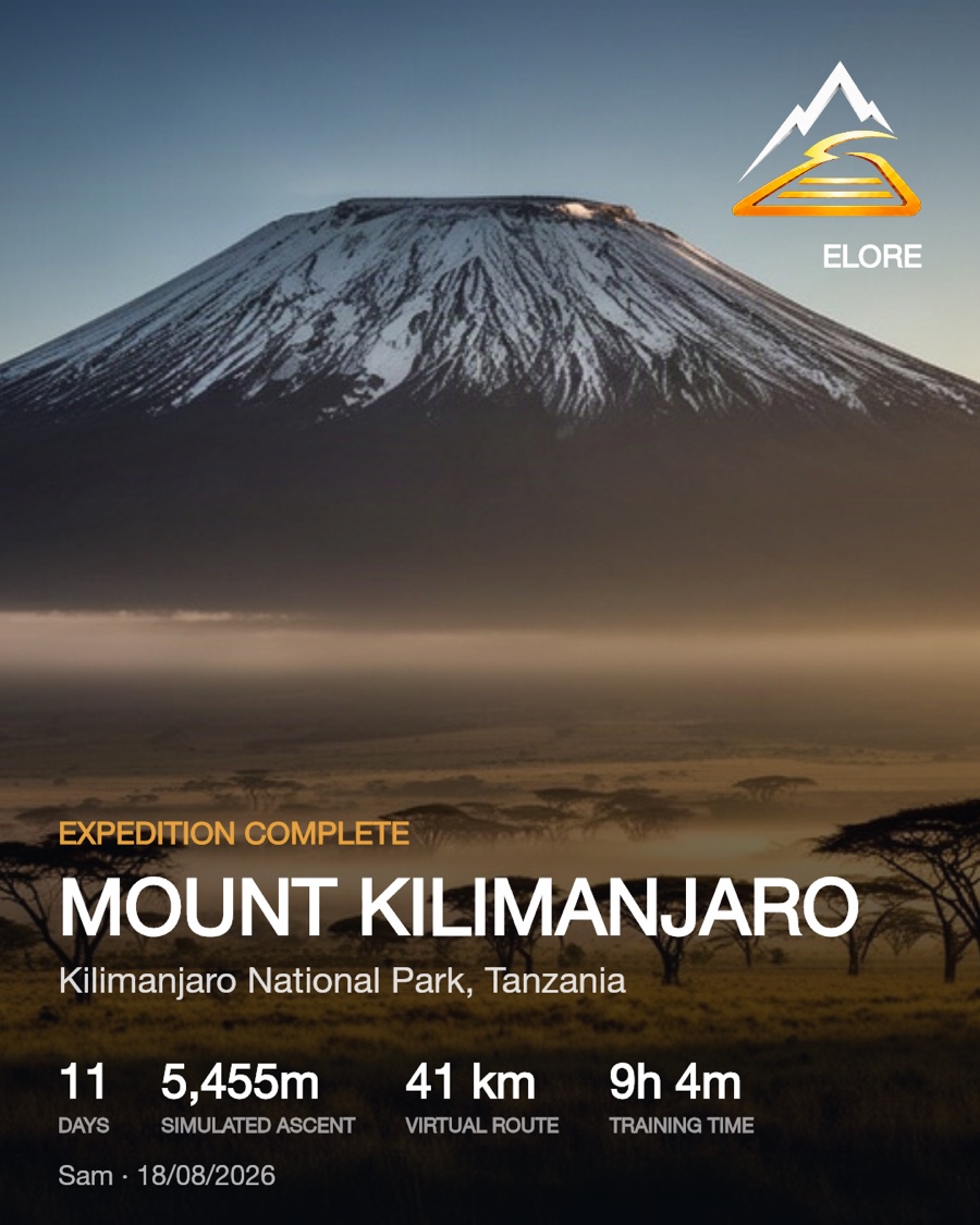 Summit card for Mount Kilimanjaro, 11 days, 5,455 m simulated ascent